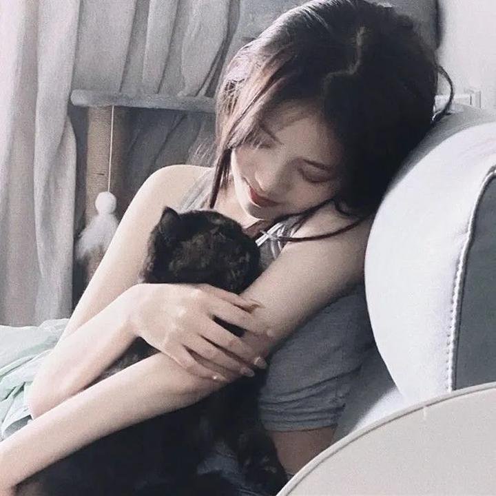 妙探双龙