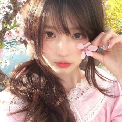 红色康乃馨